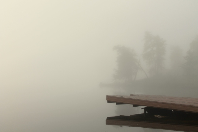 misty dock